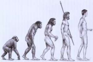 ewolucja